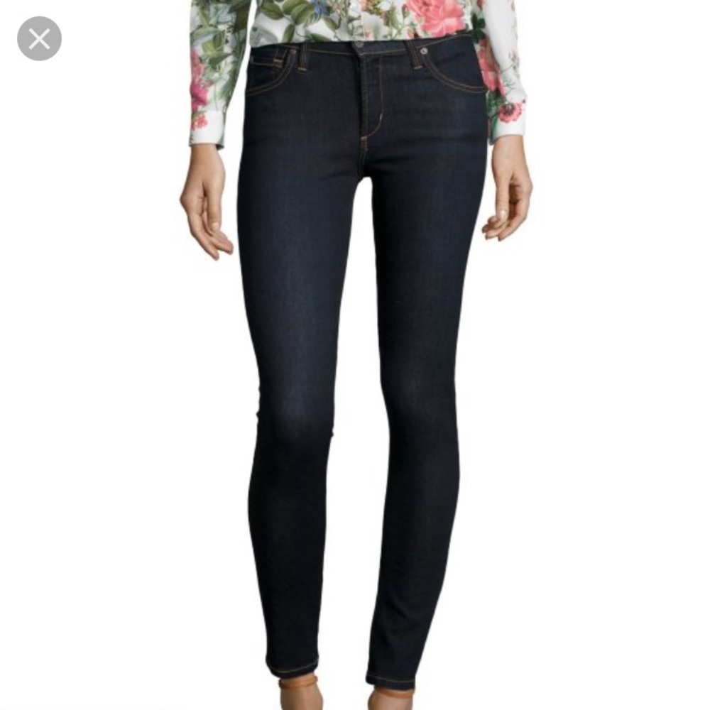 James Jeans “Twiggy” Orion Wash Skinny Leg